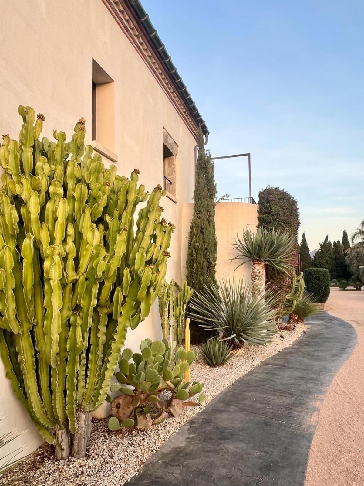 Hotel Mas Lazuli By Fimedhotels Pau Esterno foto